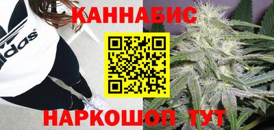 индика Жуковский