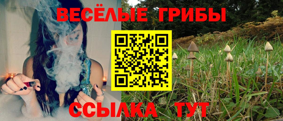 Галлюциногенные грибы Psilocybe  Вход с VPN  Миасс 